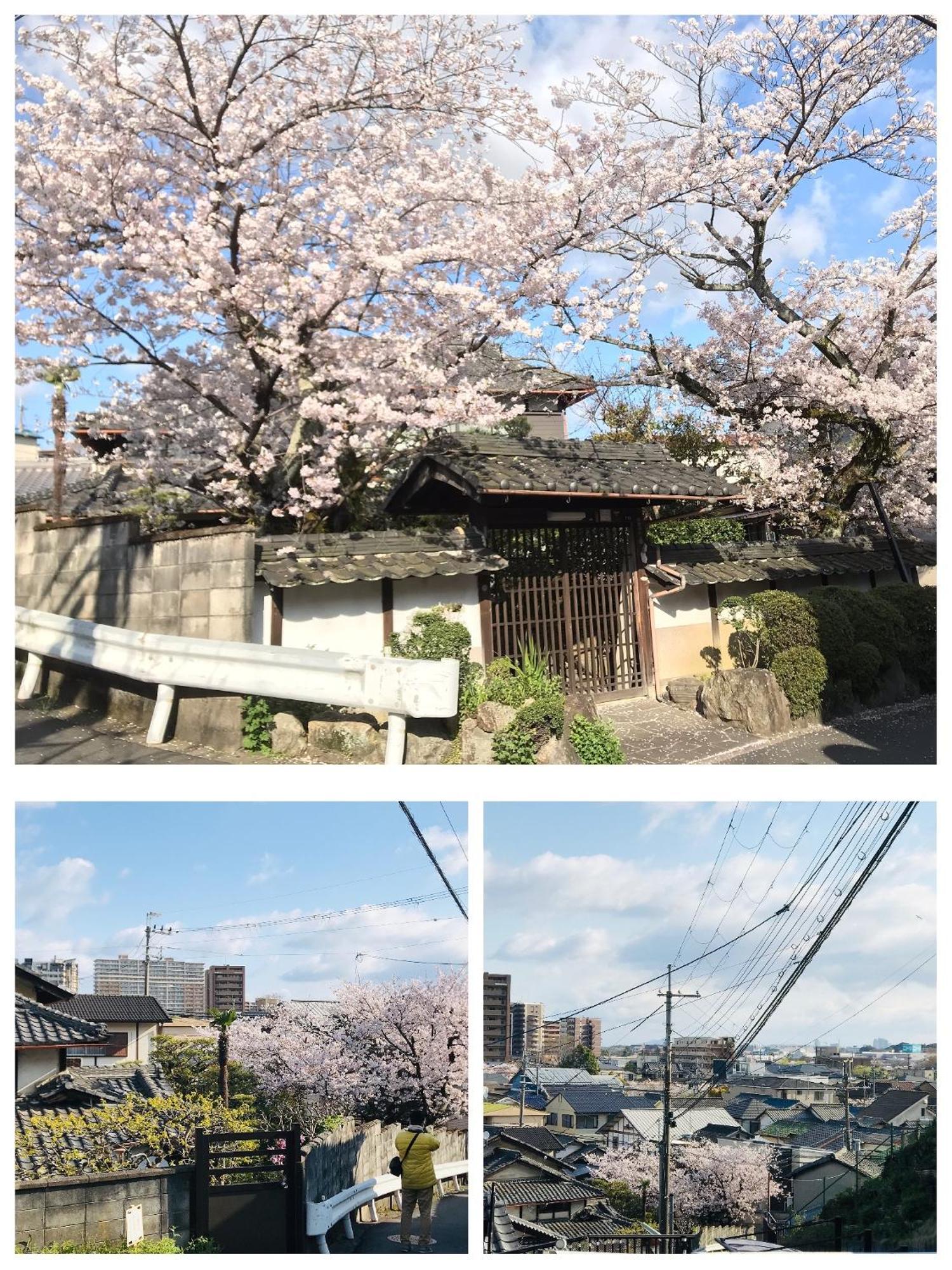 Guesthouse Misaki: Lakeside Retreat near Golf and Transit Otsu Exterior photo